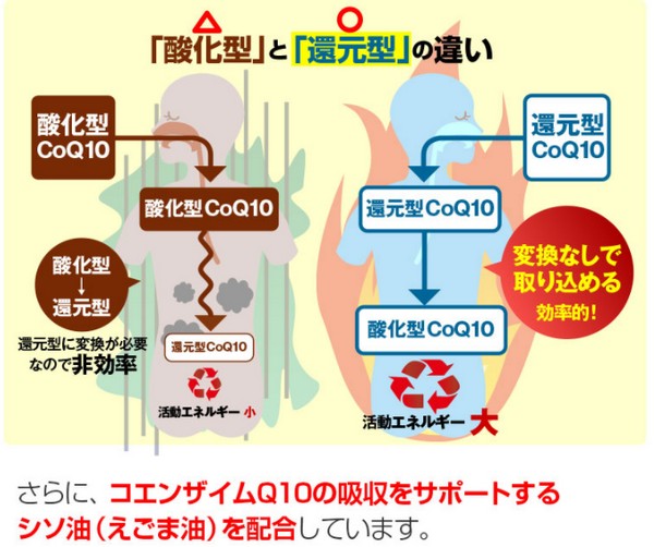 ���т��h�~�T�v���u�m�C�Y�o�X�^�[�Y�v


